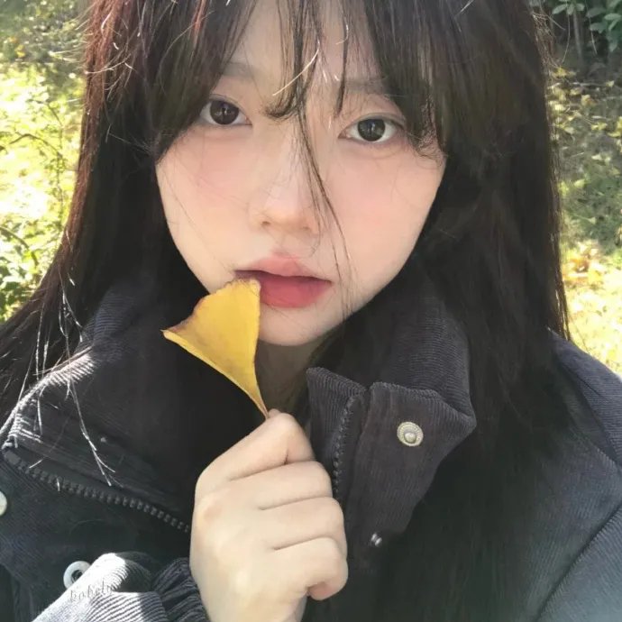 青春不悔 封面